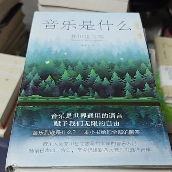 音乐是什么（精装小微瑕）微瑕
