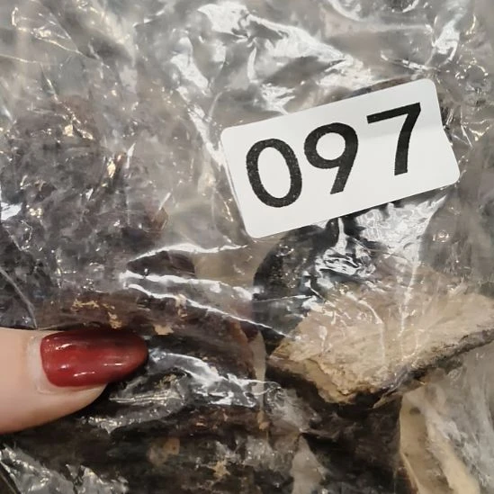 果***然鹿角鹿角鹿角鹿角鹿角