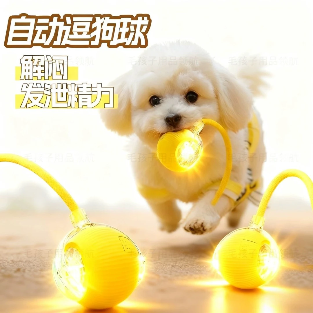 狗狗玩具自动遛狗球宠物小狗猫猫猫咪通用智能耐咬自嗨解闷神器