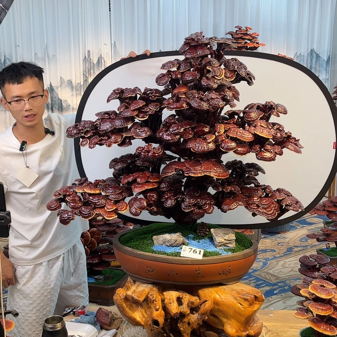 无花朵88888888888888