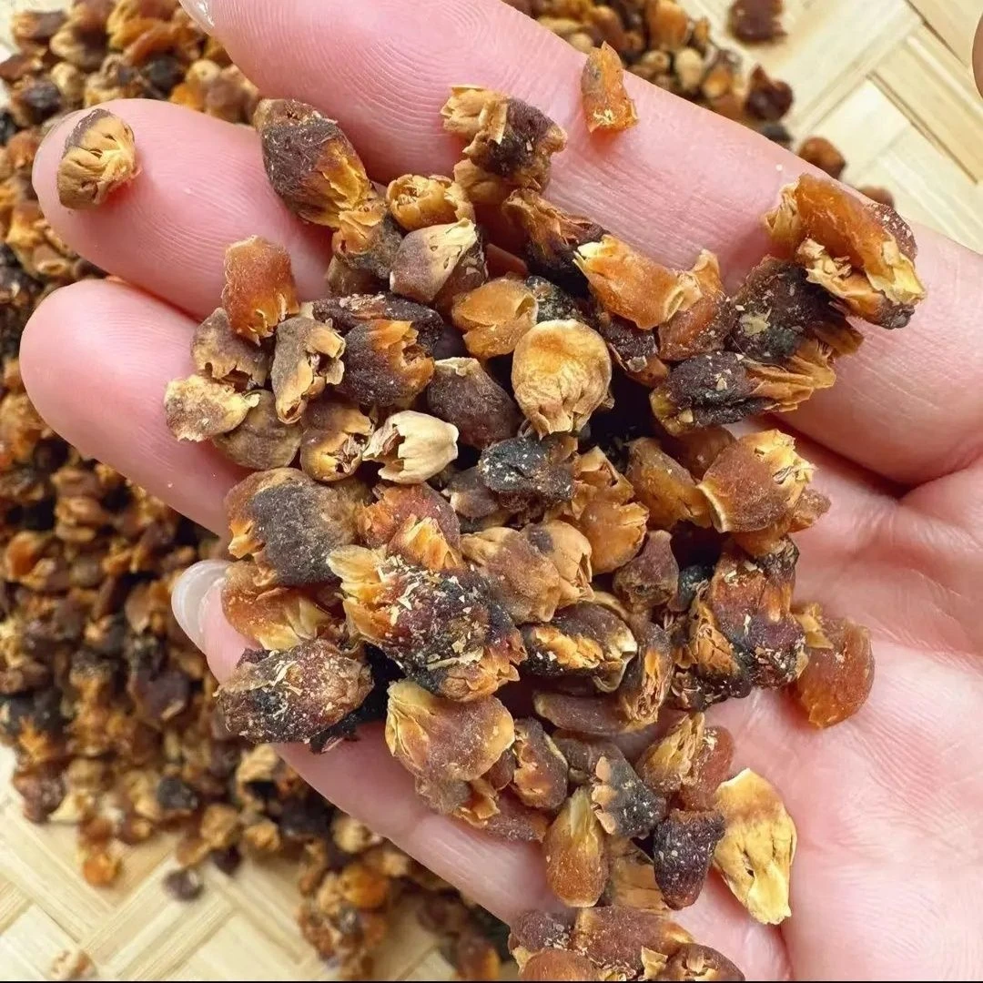 缅神花 金莲子 云南山货