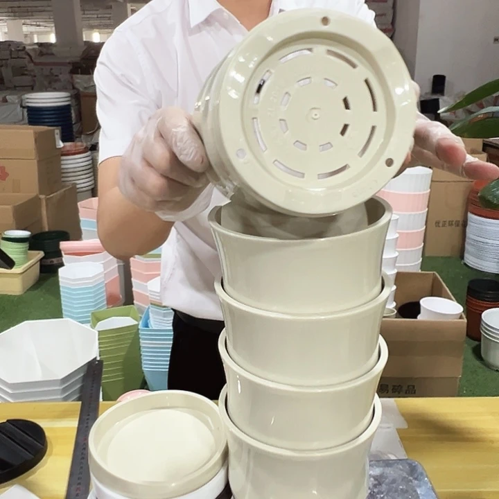 竹节口13.6高14米色带托5只