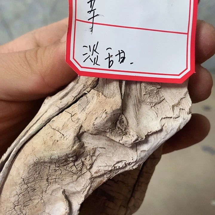 幸***纪大叶紫檀（黑酸枝木类）