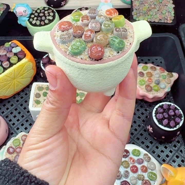 612零下地区记得拍保温箱