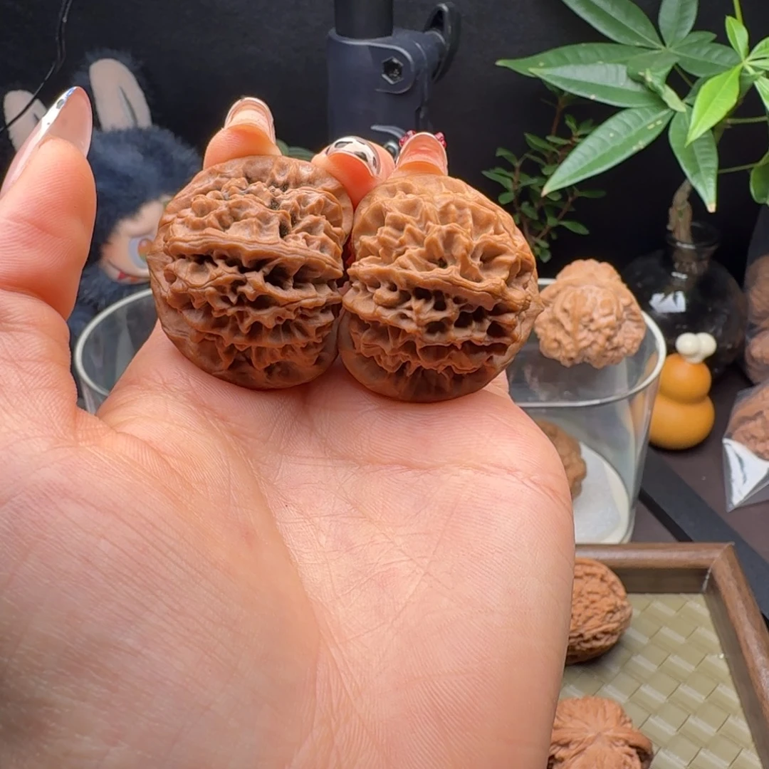 龙脊菩提把件全品头货秦闷38