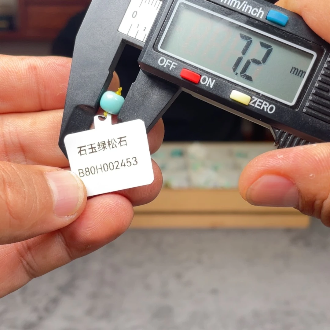 绿松石未镶嵌颈饰