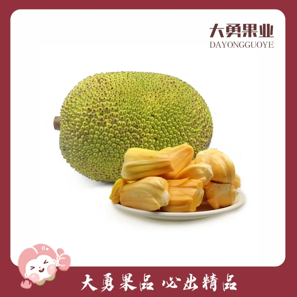 越南A级菠萝蜜1份 (纯甜留香菠萝蜜)
