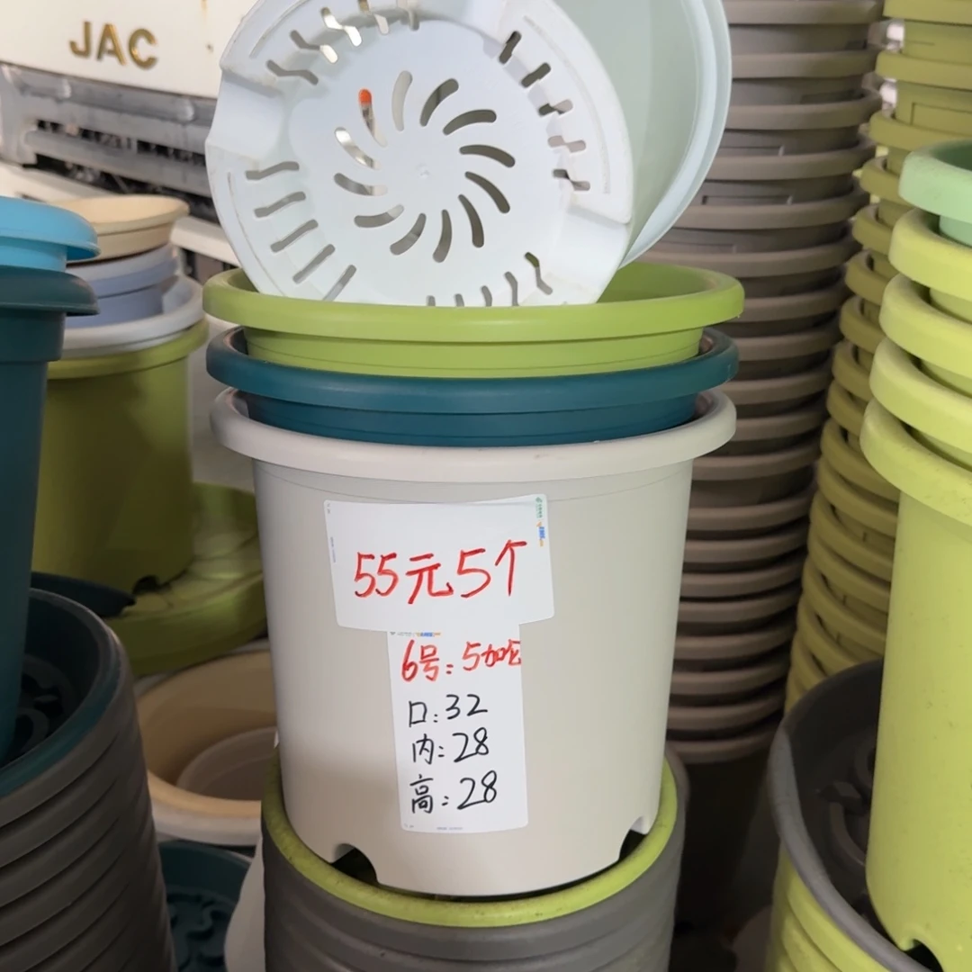 微瑕5#10个6#10个无拖灰白球根2#1个