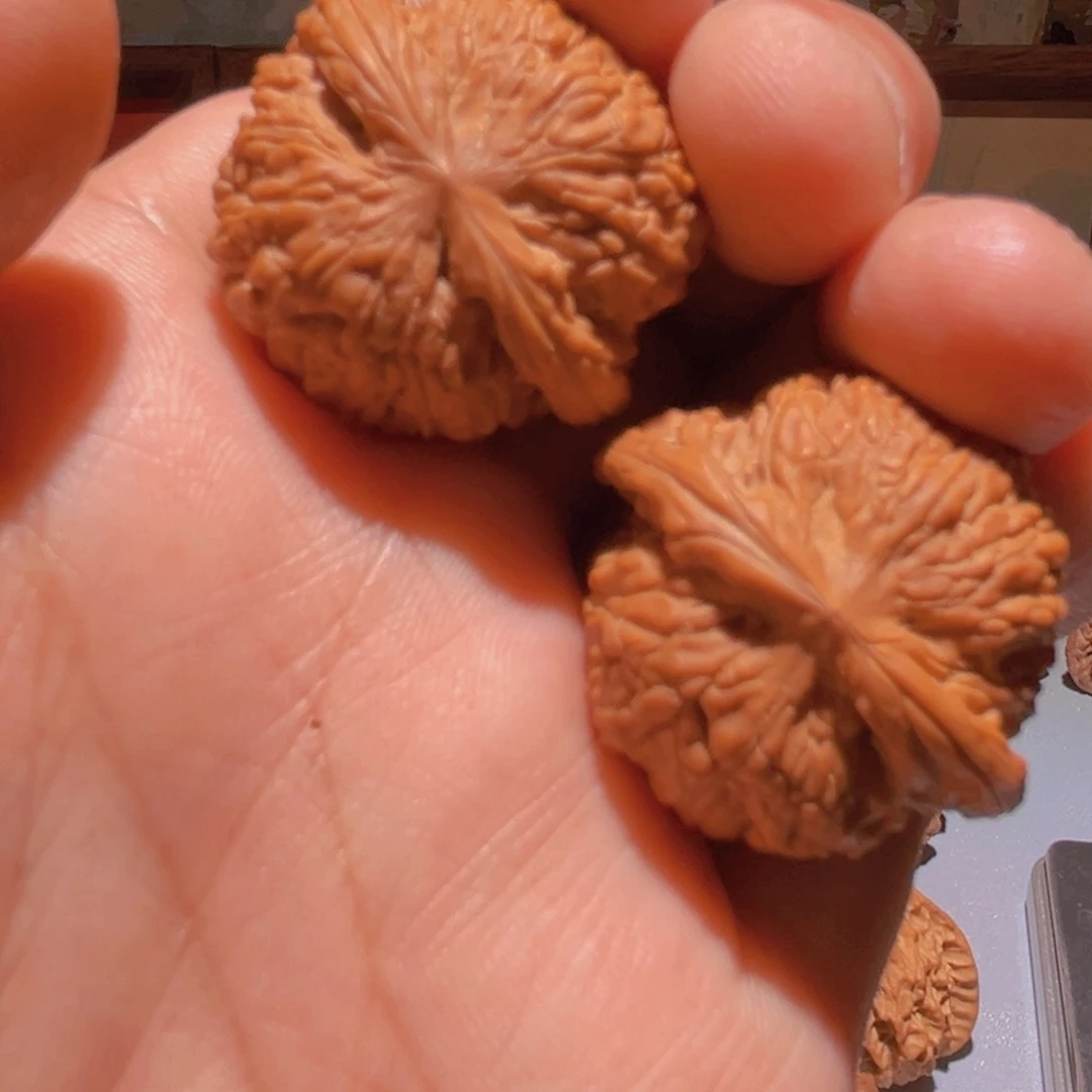 瑞麟文玩核桃白狮子