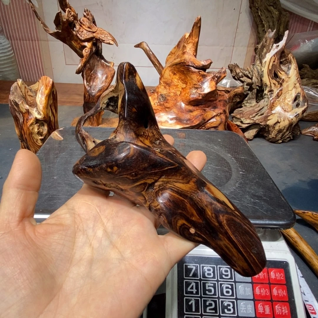 召***）香榧木我们都是这样的