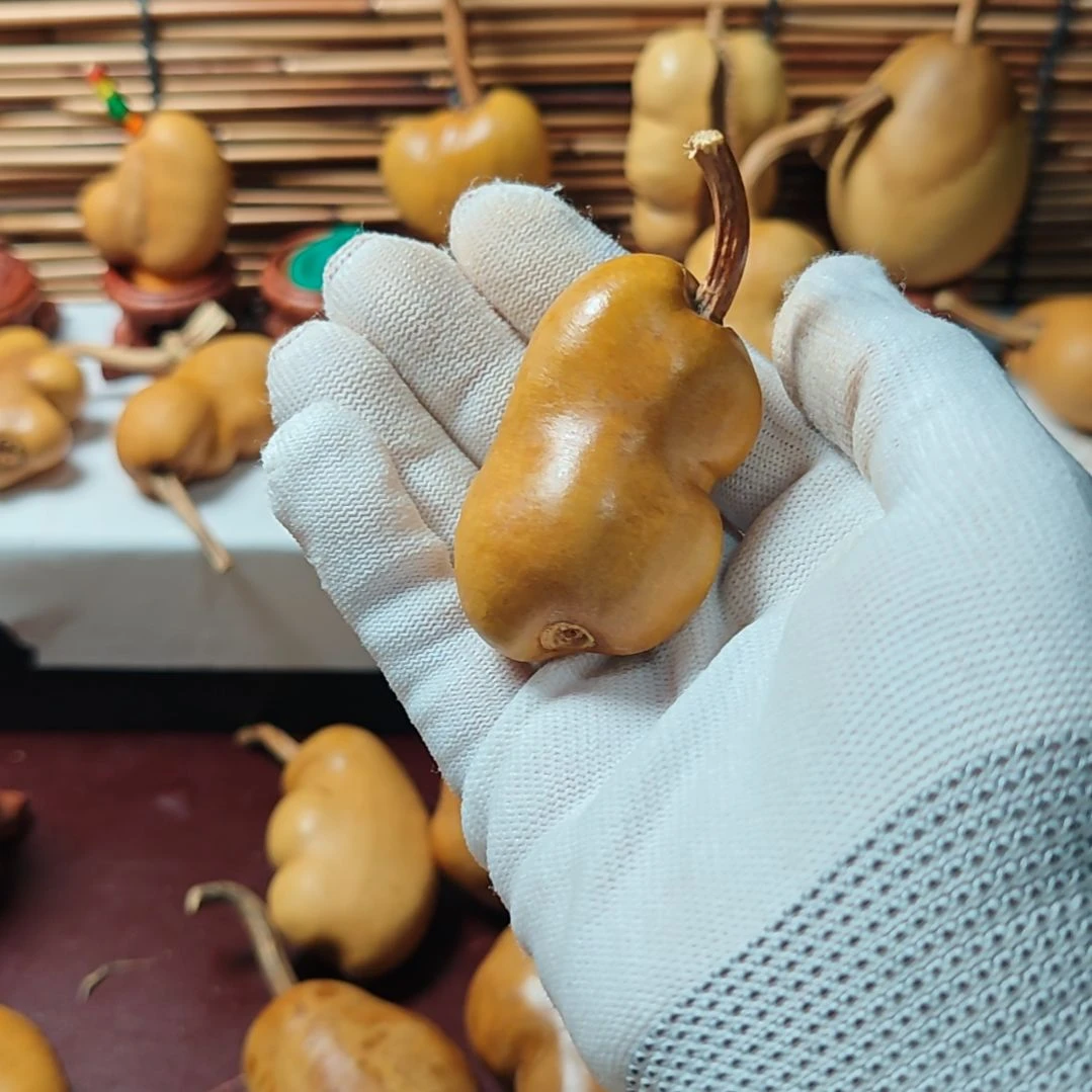 Q***W精品土豆葫芦一物一拍