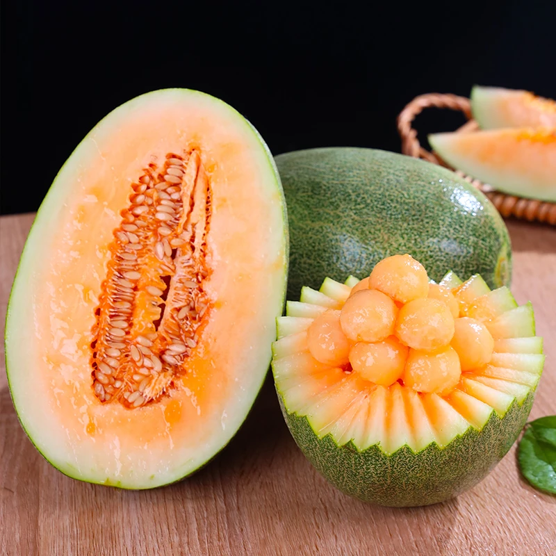 新疆正宗新鲜水果哈密西洲蜜25号网纹瓜香甜可口入口化渣坏果