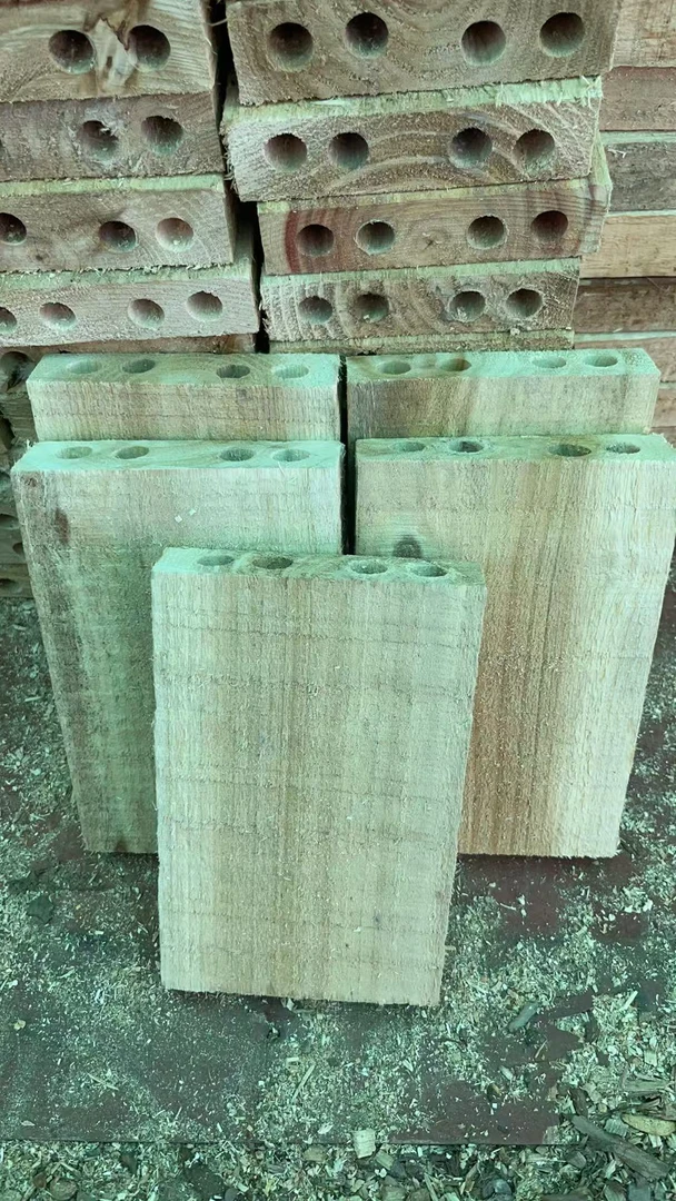 带储水孔杉木板适用于石斛蝴蝶兰等兰科植物种植