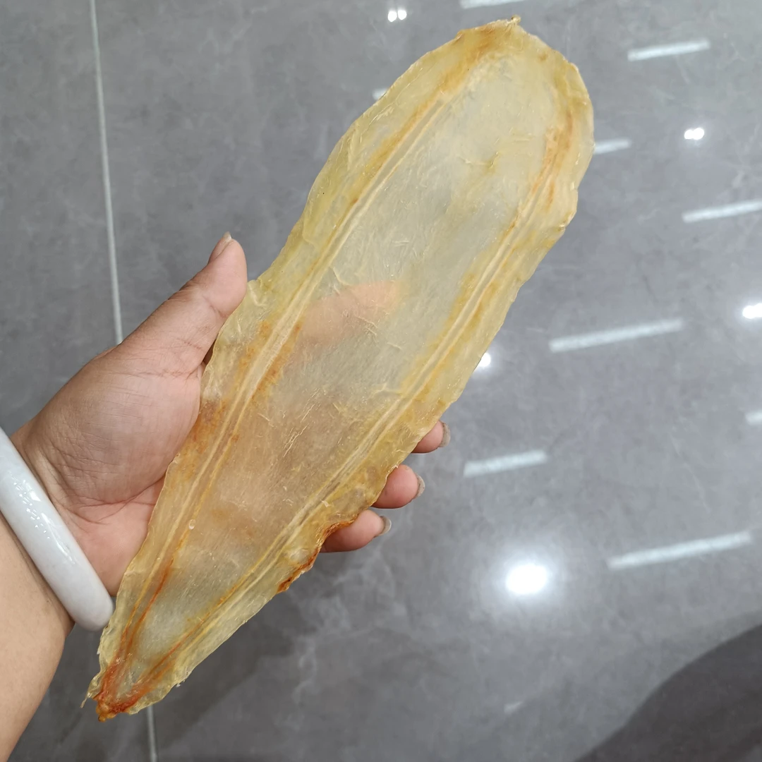 竹叶胶12头规格深海高品质花胶1-500克
