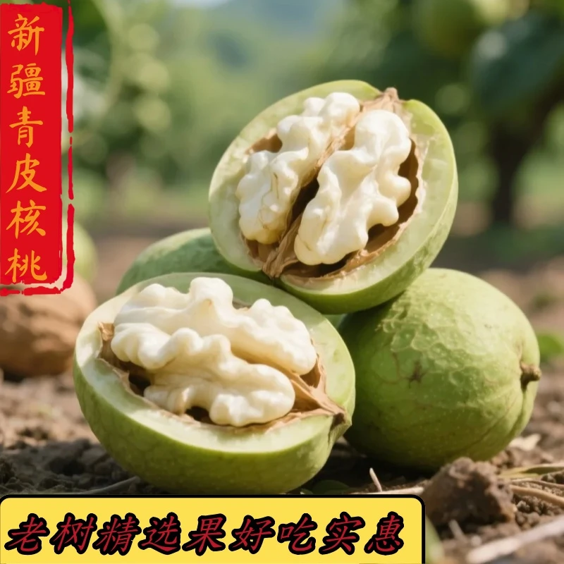 新疆新鲜青皮核桃脆嫩营养美味坚果零食【产地直发】