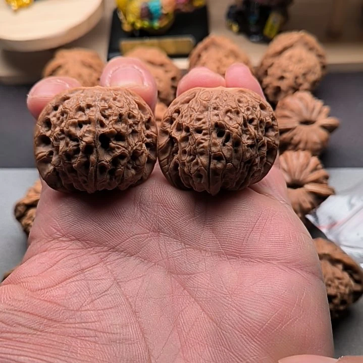 核桃血麒麟39尺，尖微修