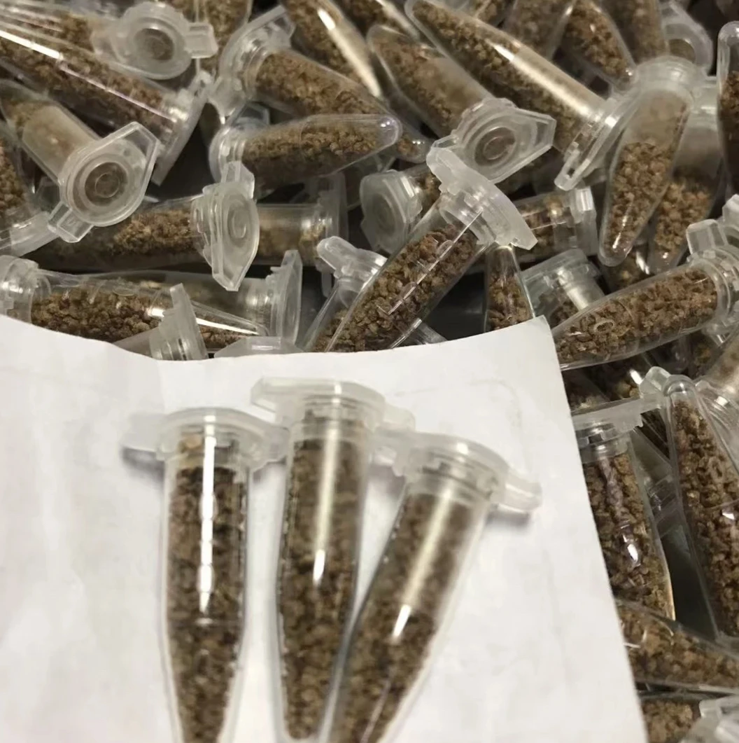 大眼萌沙蟹饲料拍1发30管