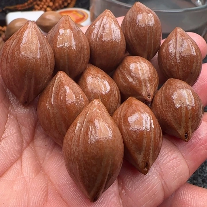 橄榄核手串橄榄核原皮铁盒三面佛