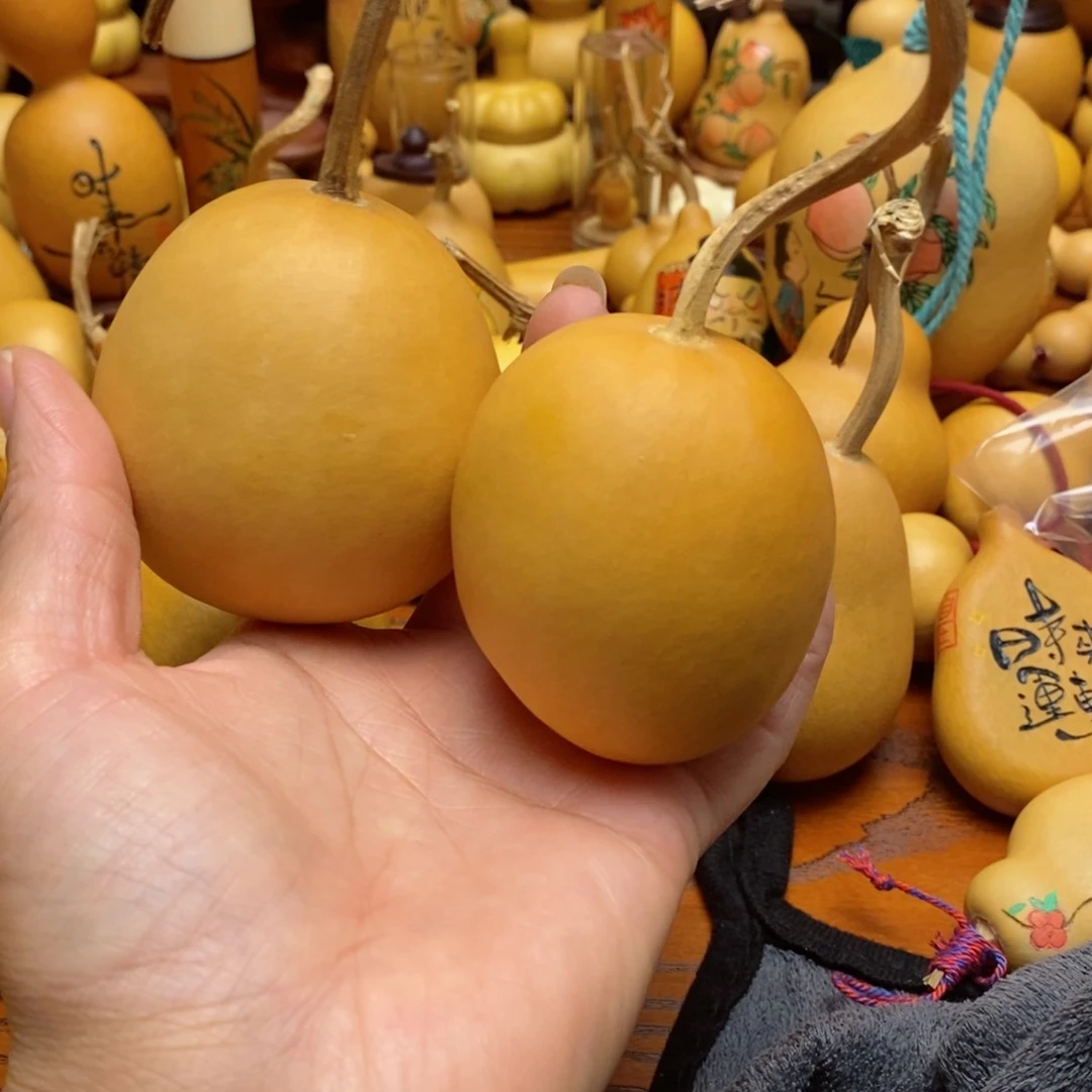 嘉*?葫芦葫芦葫芦葫芦