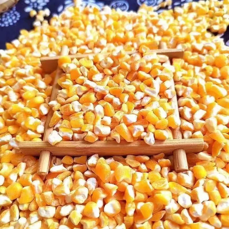 农家脱皮粘玉米碴自然成熟熬粥美味