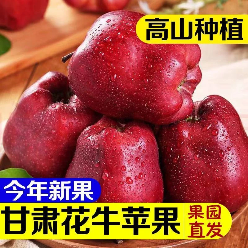 甘肃天水花牛苹果当季新鲜水果脆粉两吃红蛇果高山种植