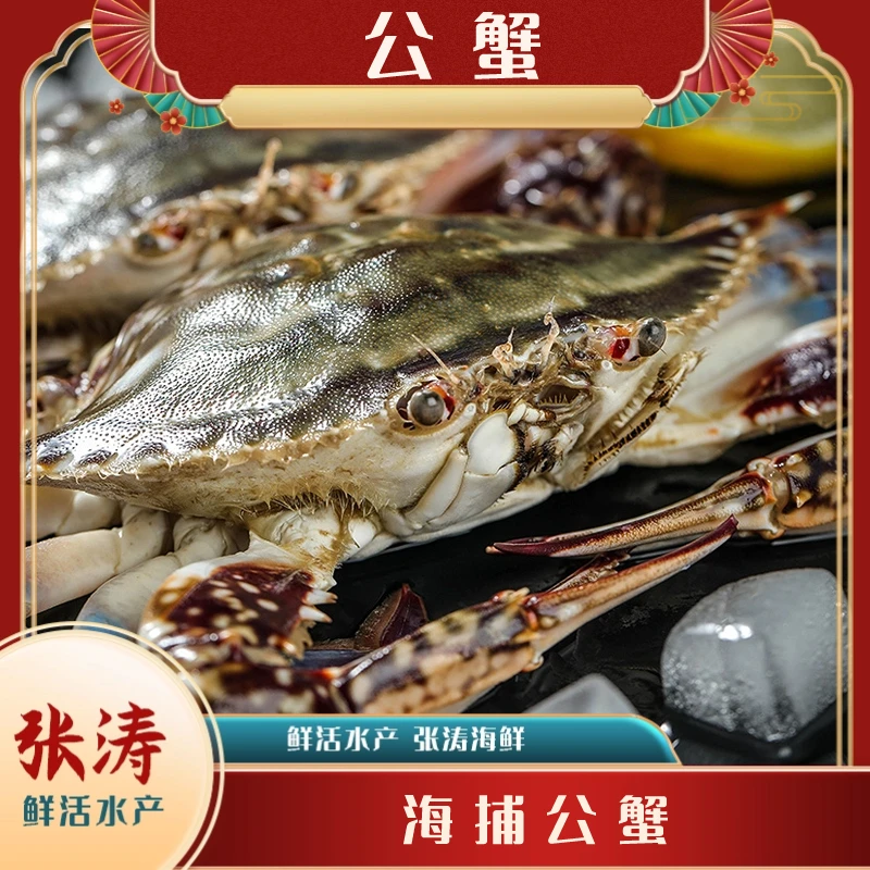 【保鲜不保活】鲜活海捕公蟹（单只2-4两 每斤2-4只）当日达
