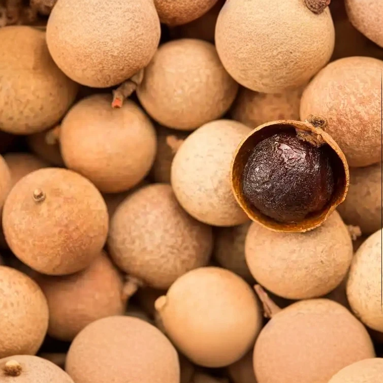 宝珠甄选-精选桂圆干（带壳）