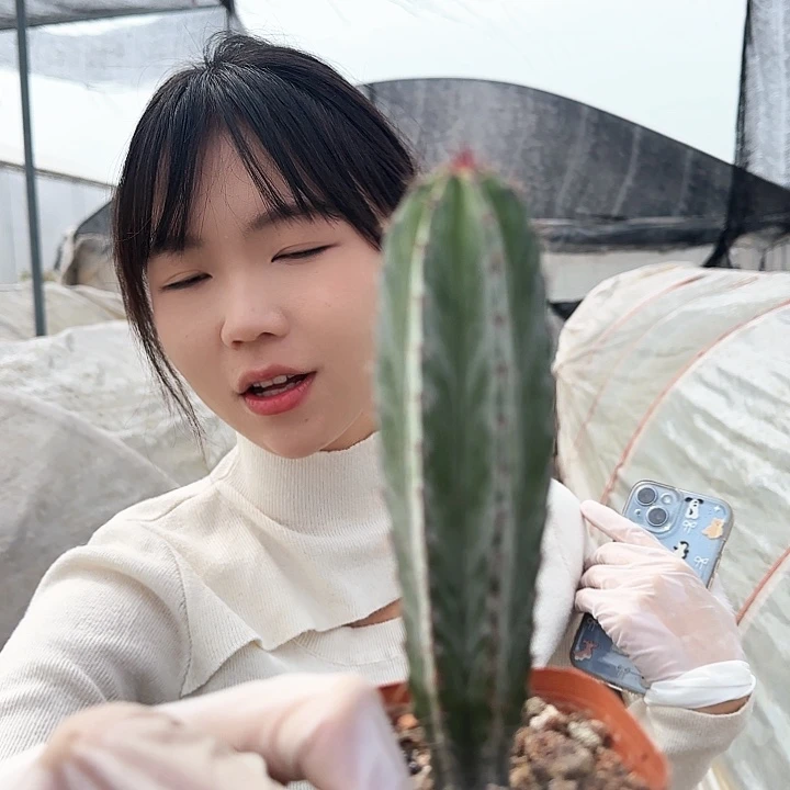 雷神阁111111111111