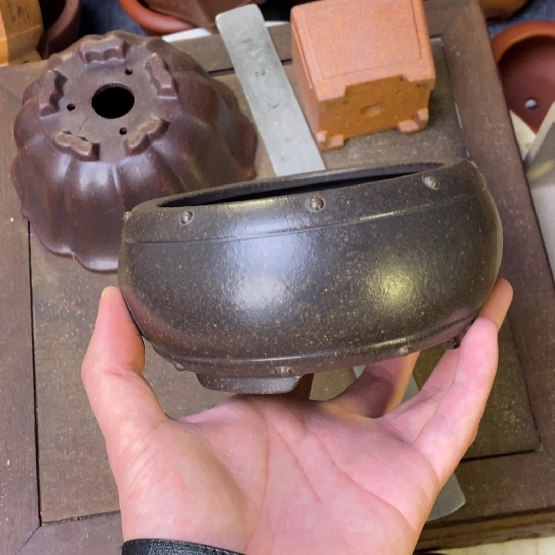 泥塑11+5.5vvvvvvvvvvvvvv