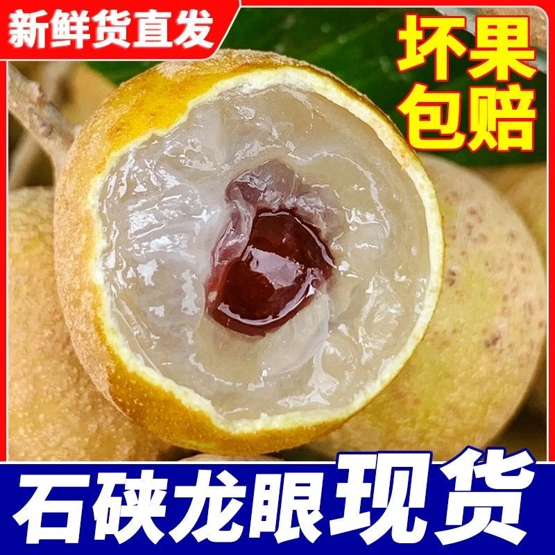 【石硖】正宗高州石硖龙眼新鲜水果原产地直发