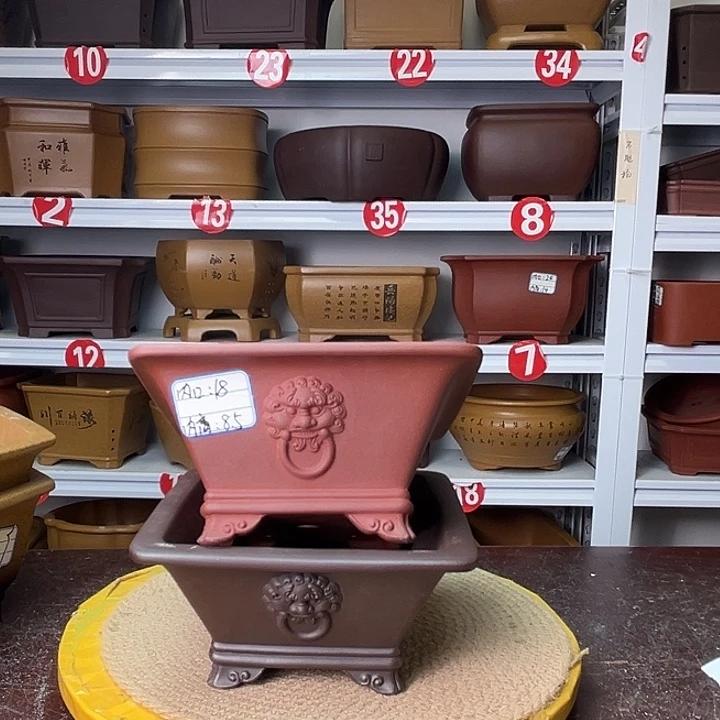 花盆紫砂你在一起