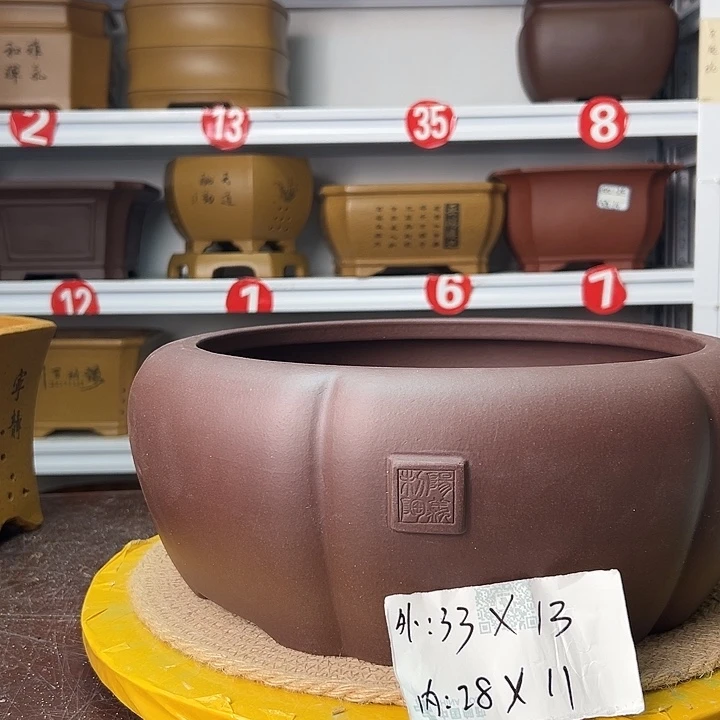 花盆紫砂蛇年大吉