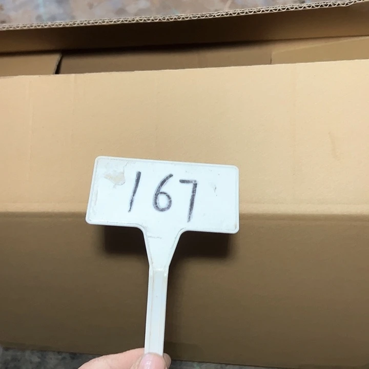 多肉植物组合法师