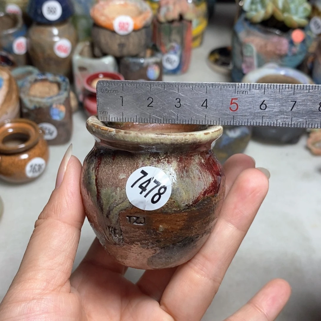 拍5送一个小礼物