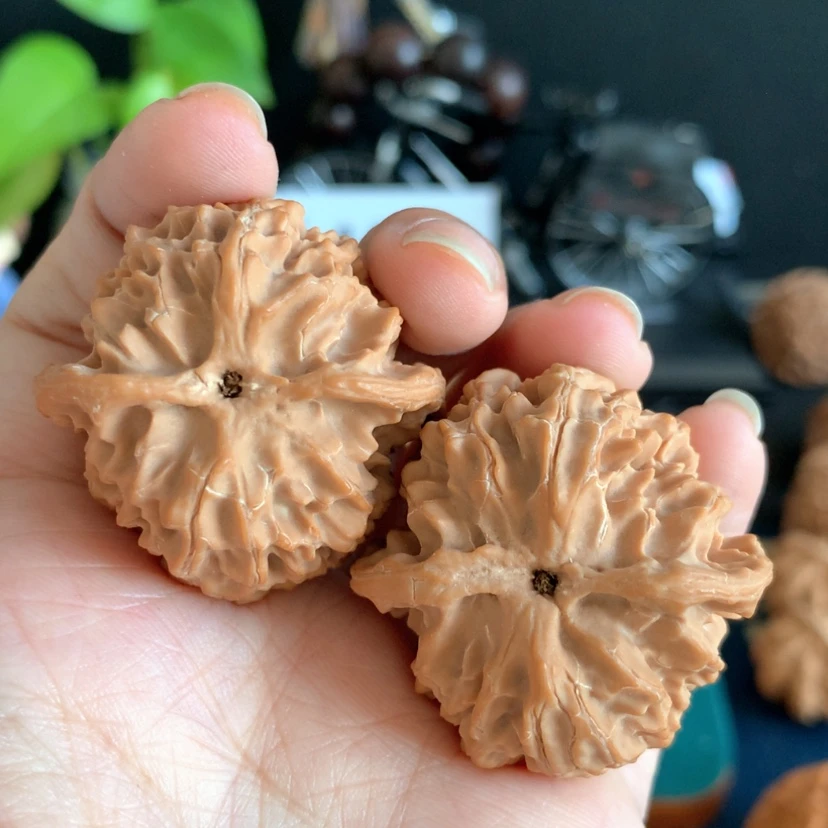 【闪购商品】核桃手串/手链7*＂37苹果园