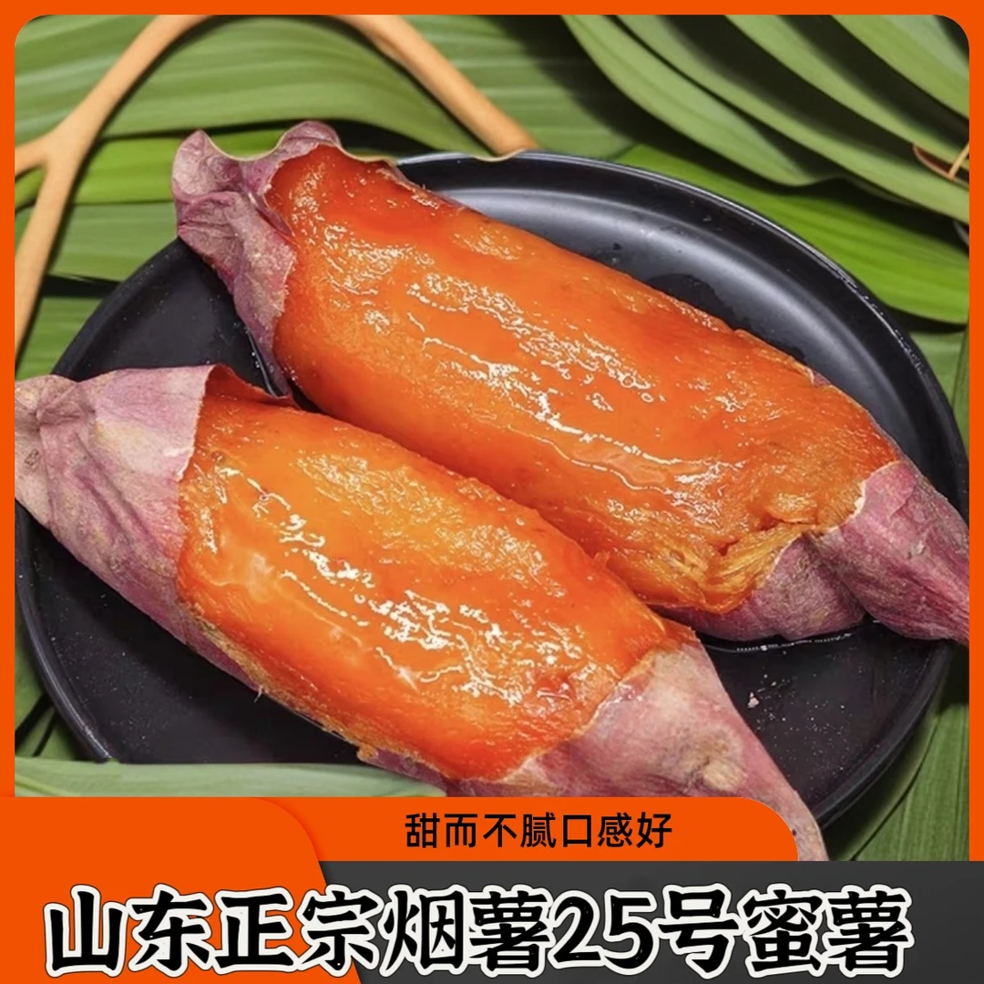 [真烟薯25号]山东正宗沙地烟薯25号红薯4.5斤蜜薯新鲜番薯地瓜
