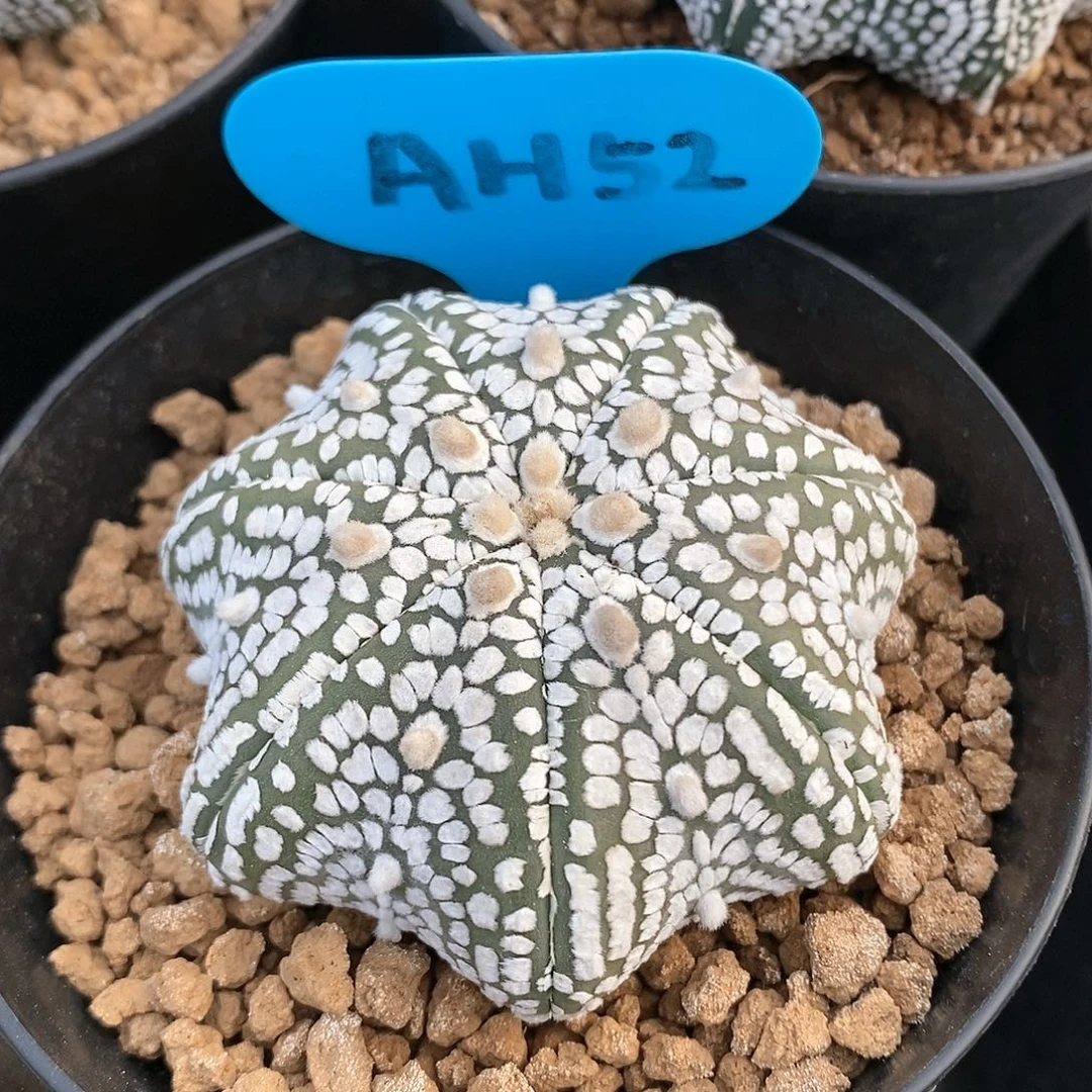 福利待遇也不错的呢哈