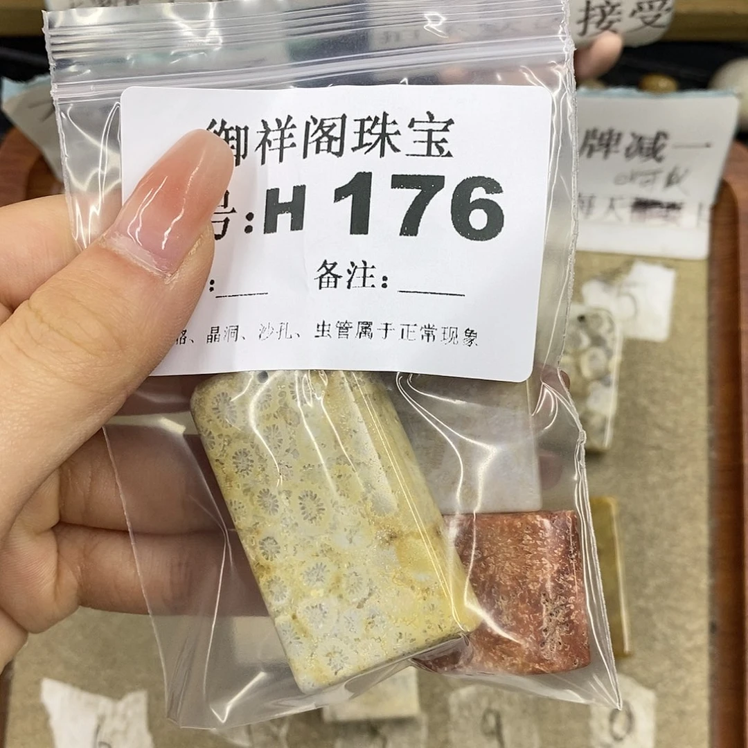 硅化珊瑚（珊瑚玉）未镶嵌颈饰没****态