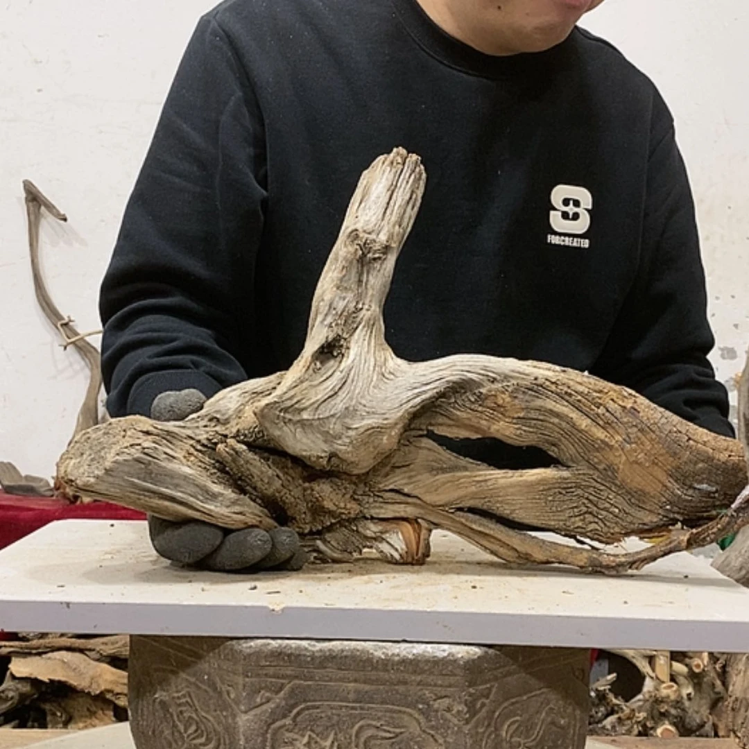 【闪购商品】柏木用****8我们都是好孩子