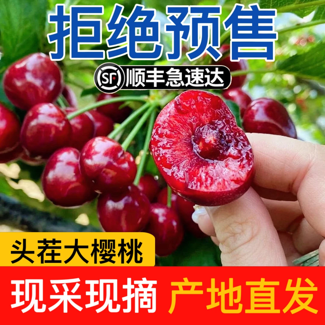 【请半斤】大连美早樱桃1-2J新鲜采摘产地直发顺丰空运 内附果径卡