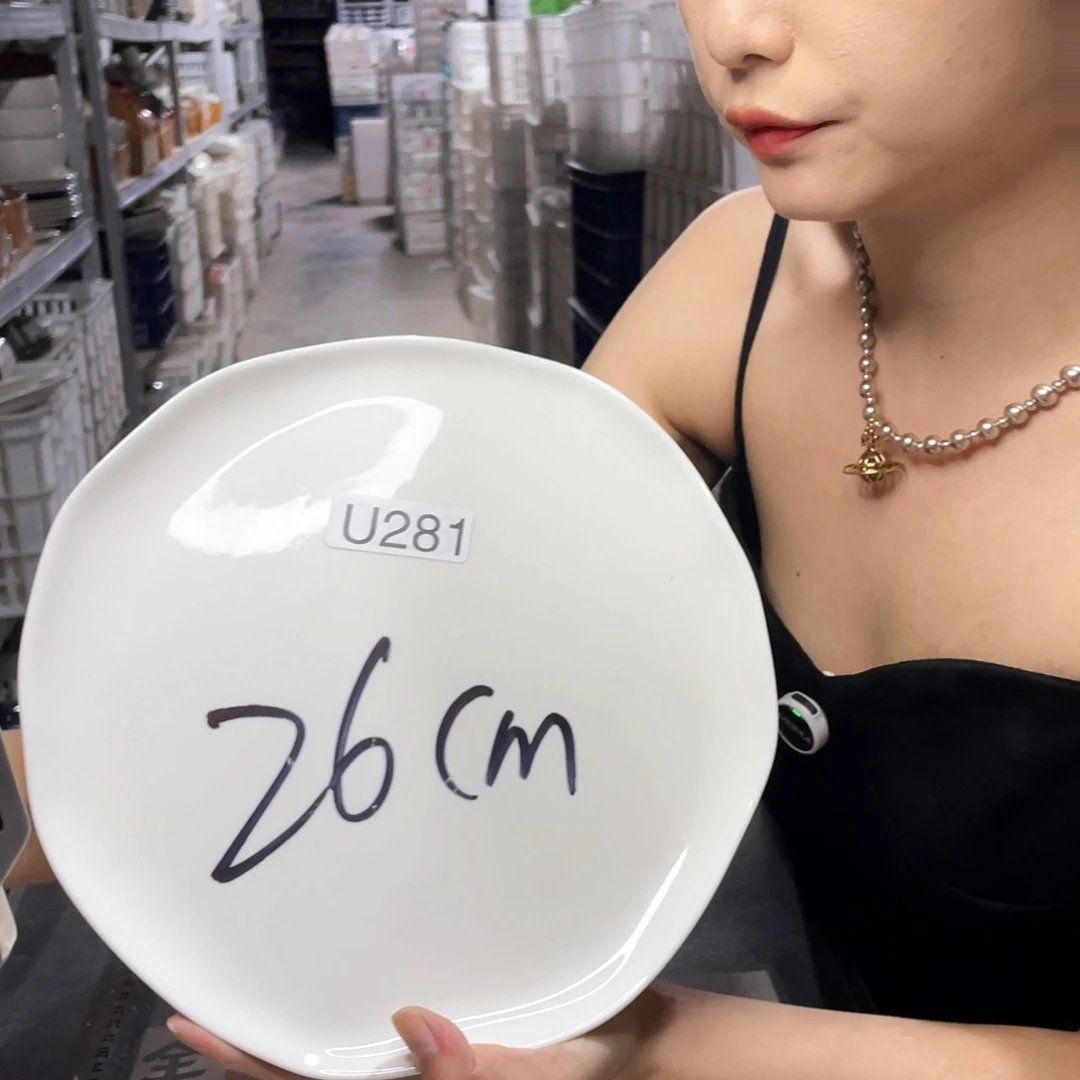 瓷片281             2个