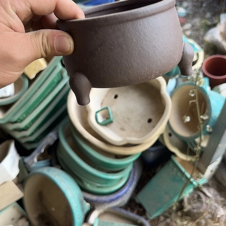 一次就会给出你所