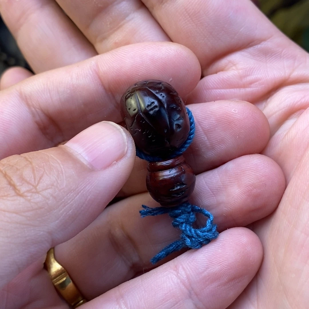 吊坠凤眼菩提多样性发货福利