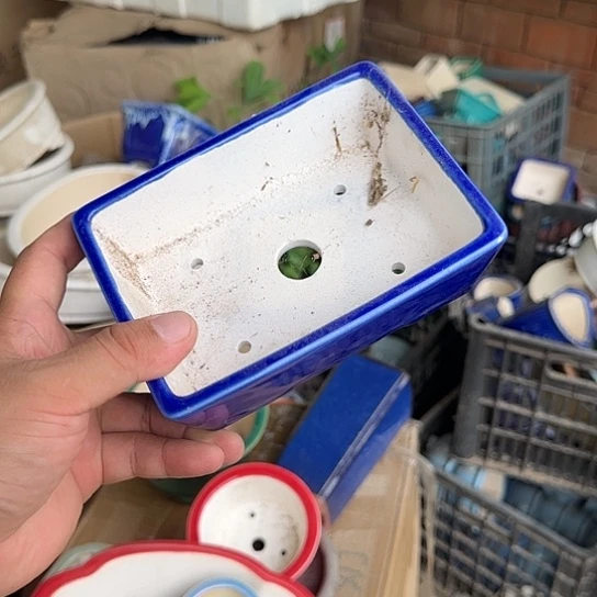 你在干什么的时候都会说句
