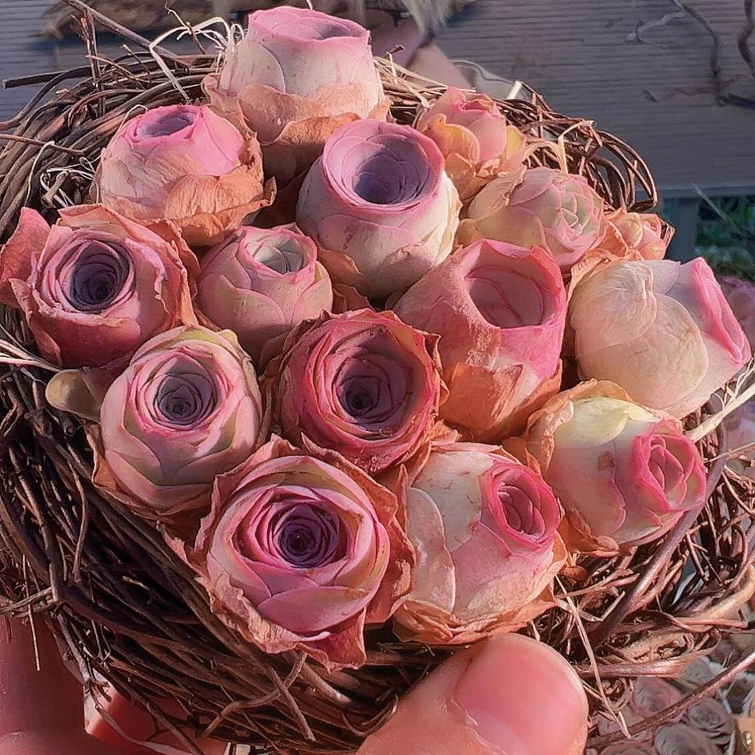 山地玫瑰鸟窝花篮  TT005