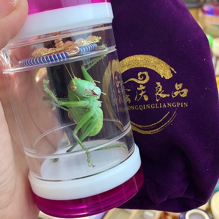 绿蝈蝈套装啊啊啊啊啊