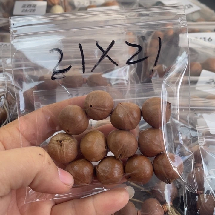 凡***人手串/手链橄榄核橄榄核