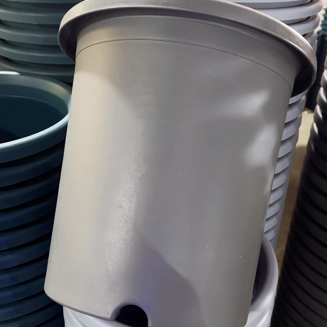 树脂四季7#无拖灰黑7个