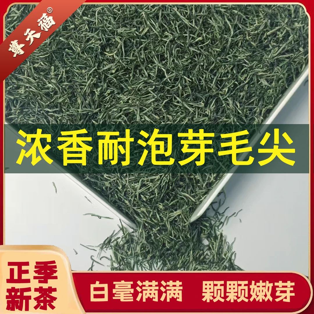 尊天福2025年宜昌三峡高山毛尖新上市头春头采毛尖茶尝鲜新茶款