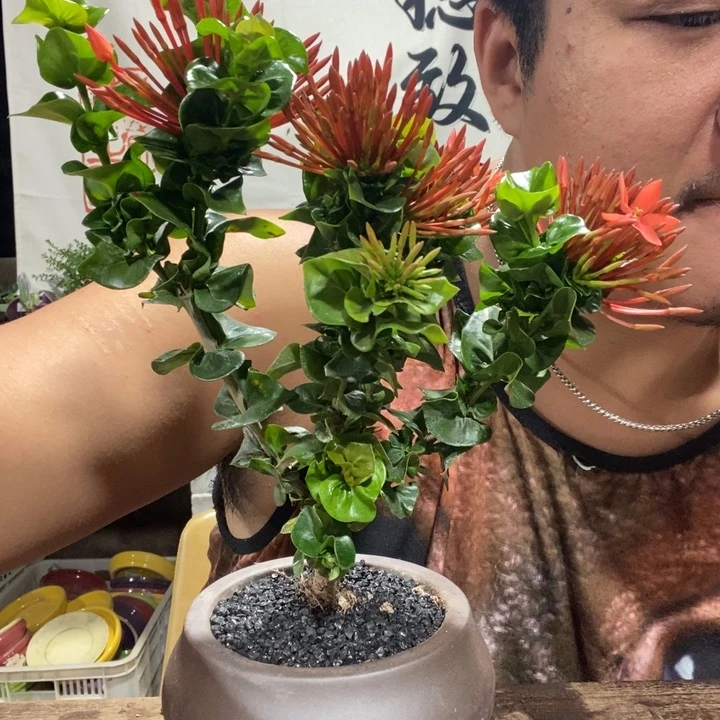 A****一物一拍所见即所得191
